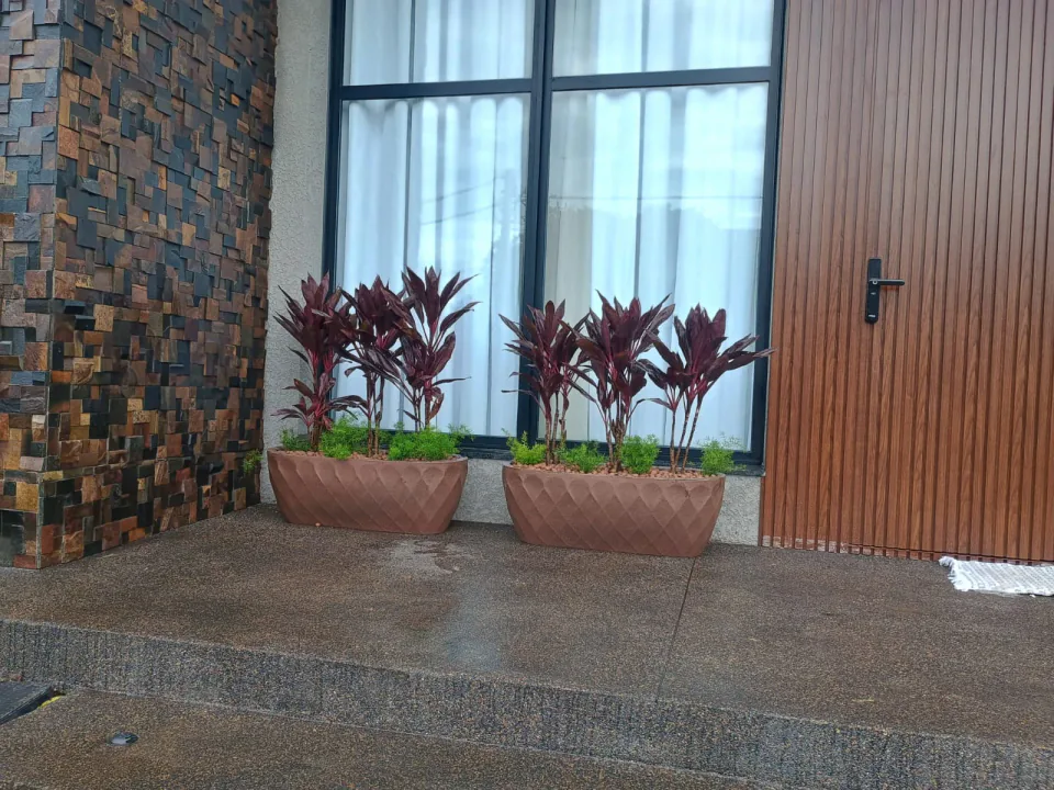 Entrada contemporânea decorada com vasos e folhagens