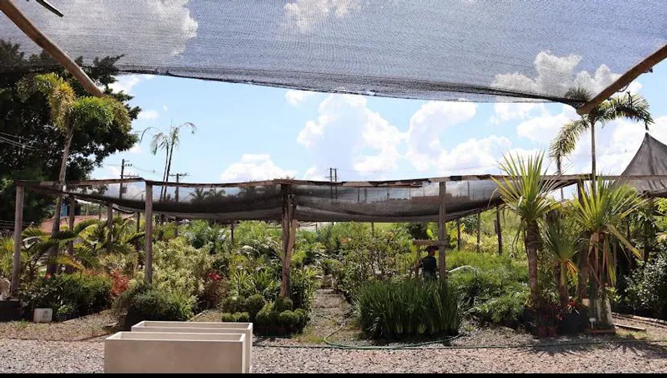 Viveiro do Garden Center com variedade de plantas