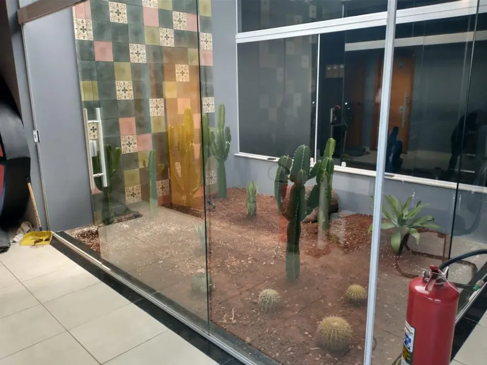Composição com cactos e pedras em ambiente envidraçado