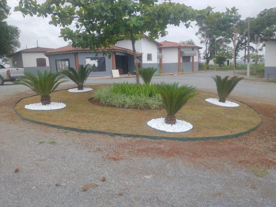 Canteiro circular com cicas, folhagens e acabamento em pedras