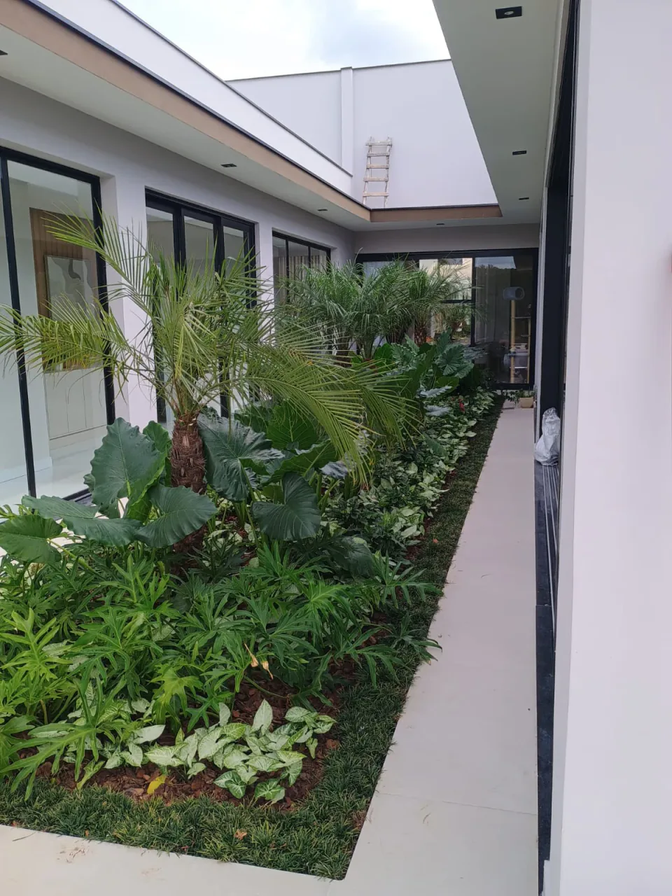 Jardim lateral com palmeiras e folhagens tropicais