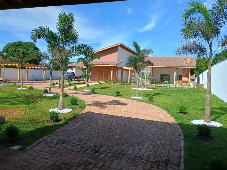 Paisagismo residencial com palmeiras e caminho gramado