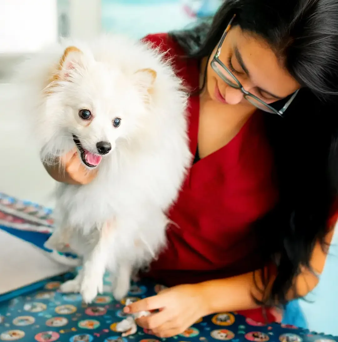 Mulher segurando um cão branco