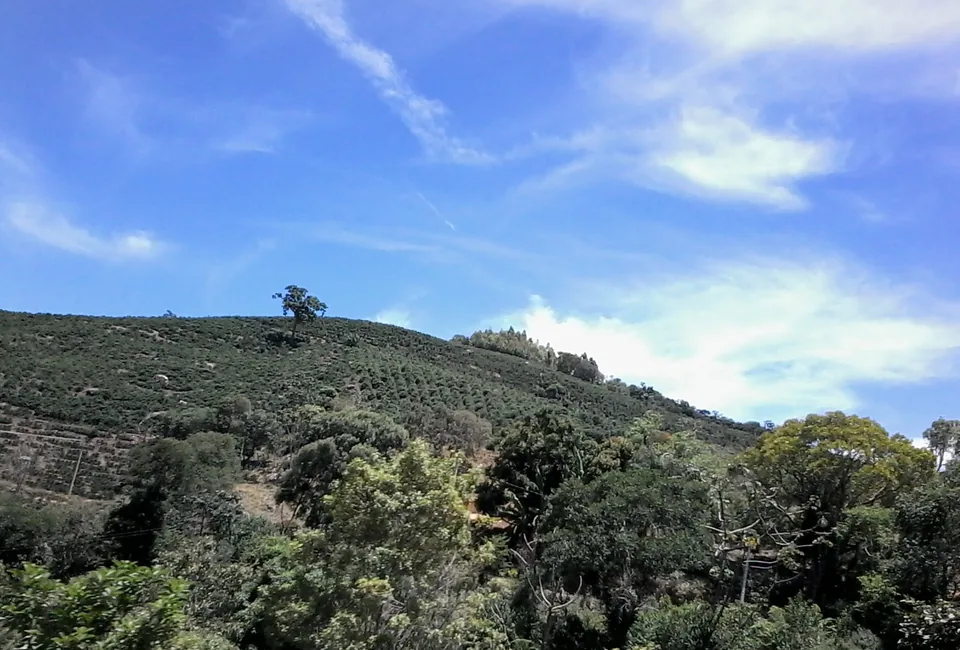 Paisagem rural de Divinolândia, em São Paulo, com lavoura e morros sob o céu azul.