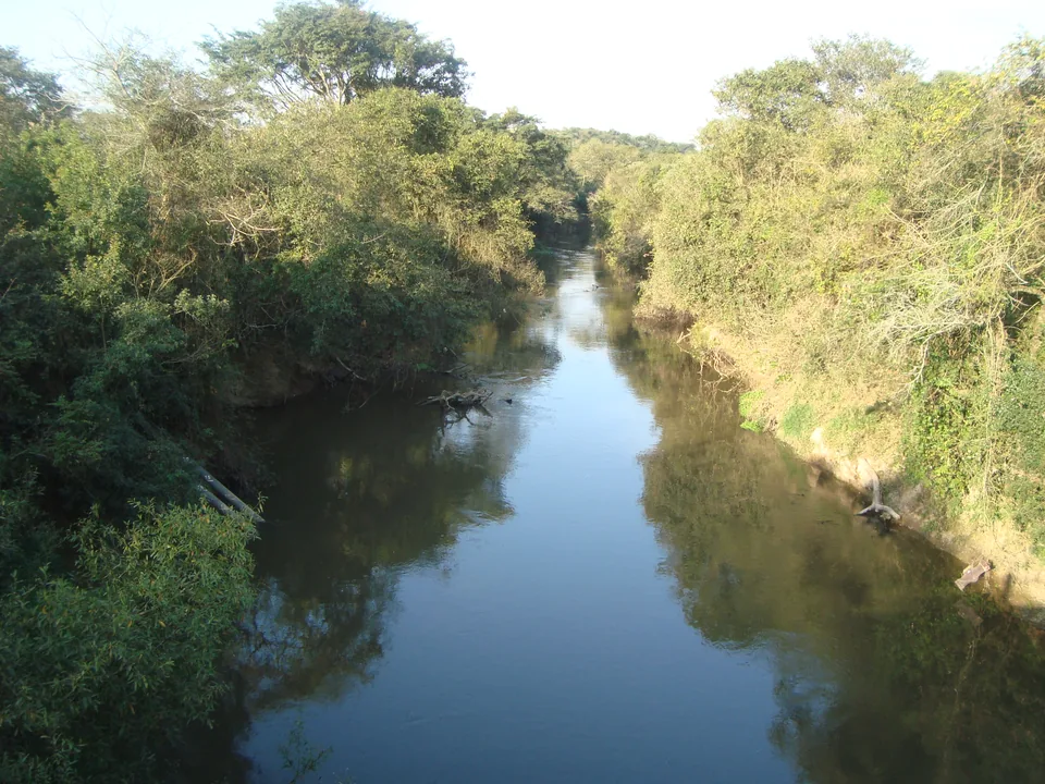 Rio entre margens arborizadas em Iperó, São Paulo.