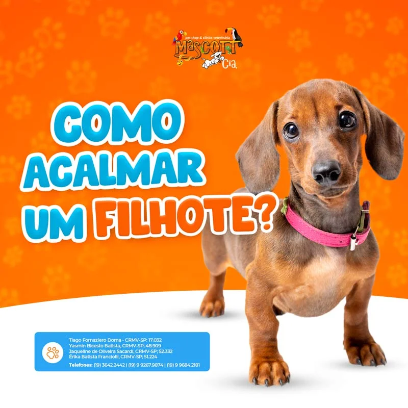 Foto de Mascott & Cia Clínica Veterinária