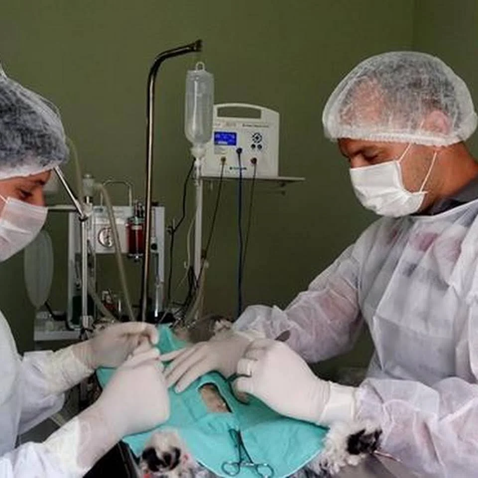 Foto de Renova Saúde Animal 24 Horas