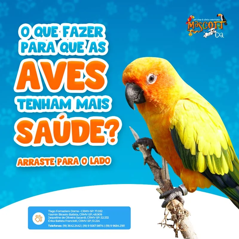 Foto de Mascott & Cia Clínica Veterinária