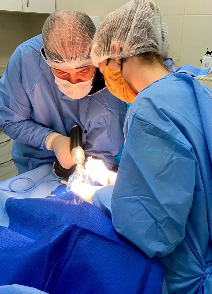 Foto de Mascott & Cia Clínica Veterinária