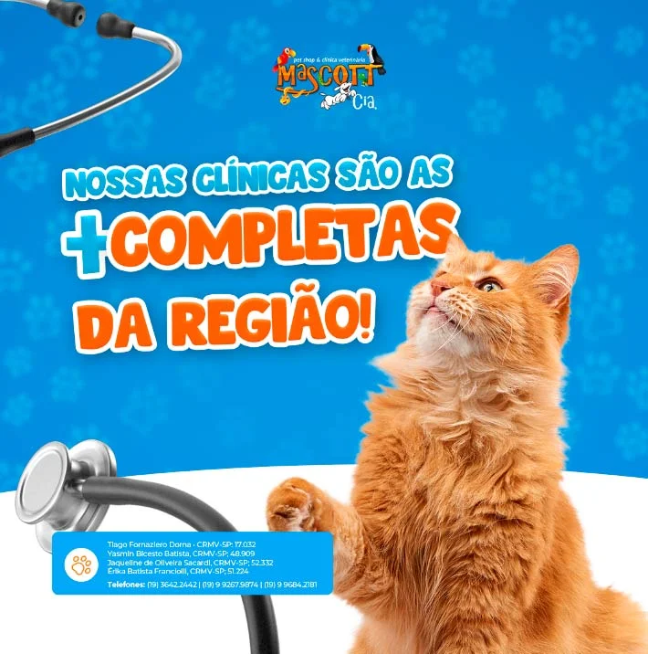 Foto de Mascott & Cia Clínica Veterinária