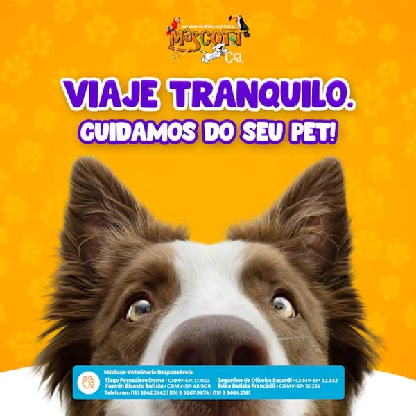 Foto de Mascott & Cia Clínica Veterinária