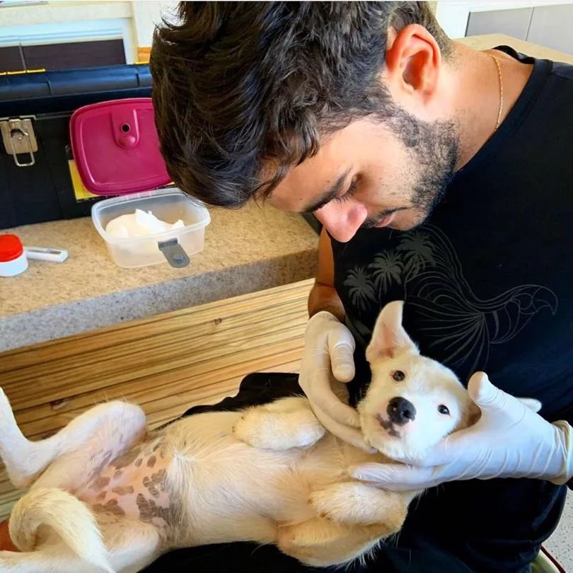 Foto de Rab Clínica Veterinária