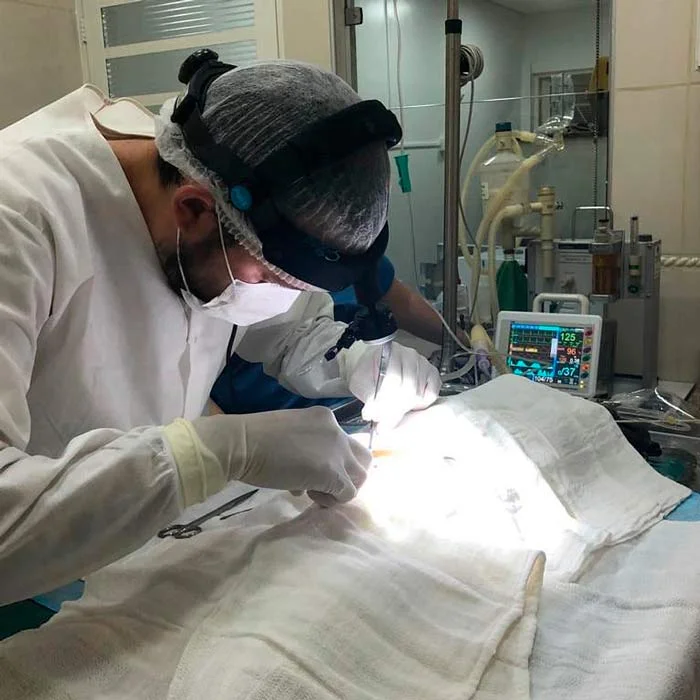 Foto de Mascott & Cia Clínica Veterinária