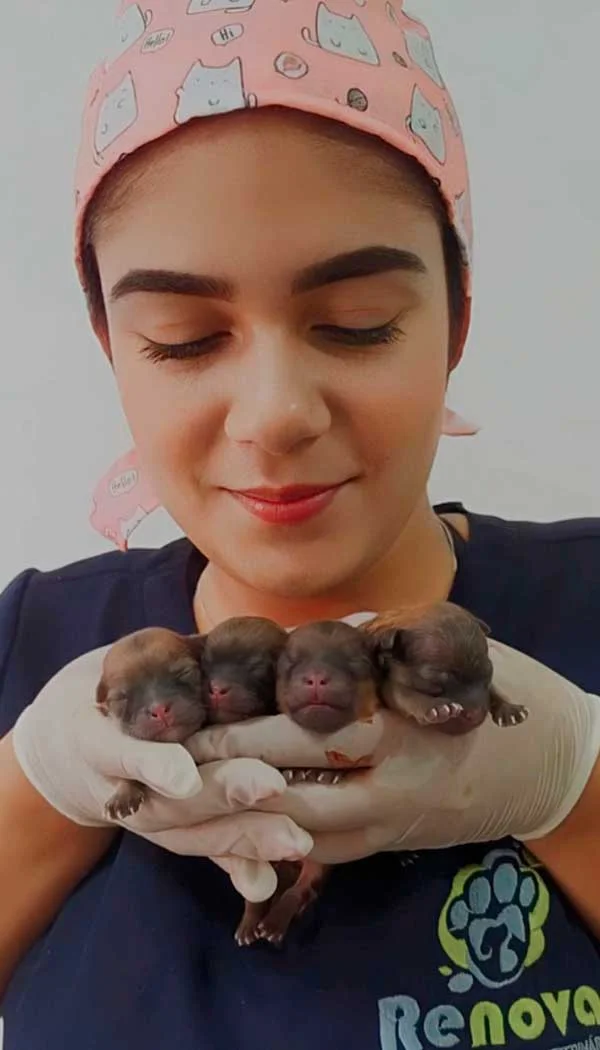 Foto de Renova Saúde Animal 24 Horas