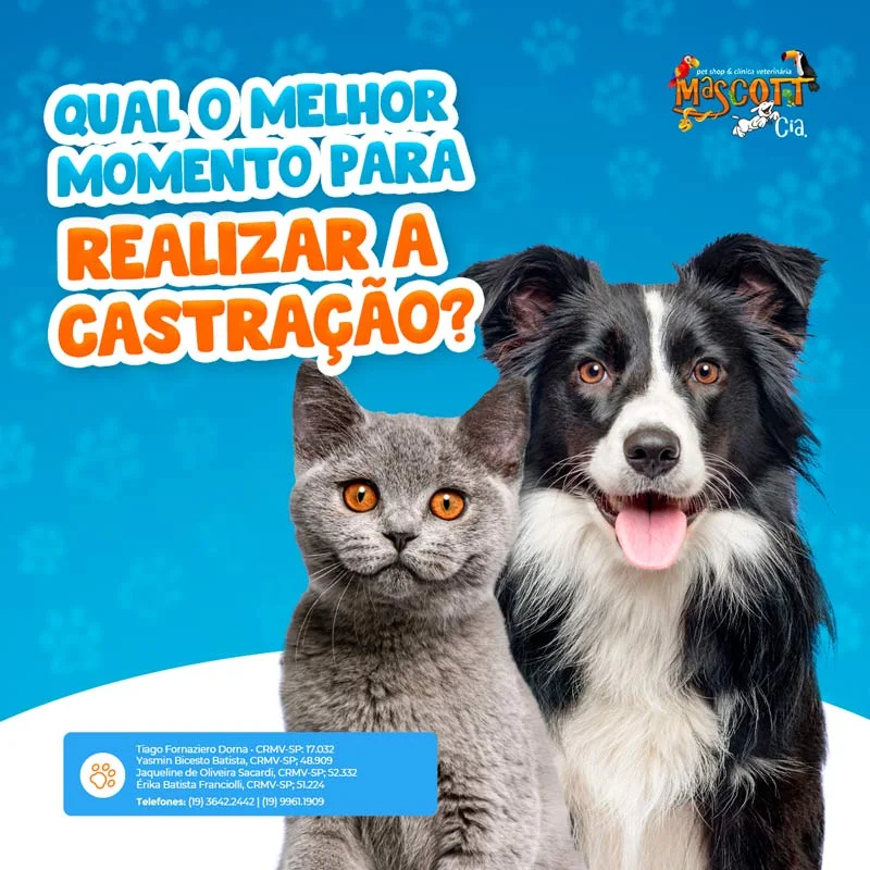 Foto de Mascott & Cia Clínica Veterinária