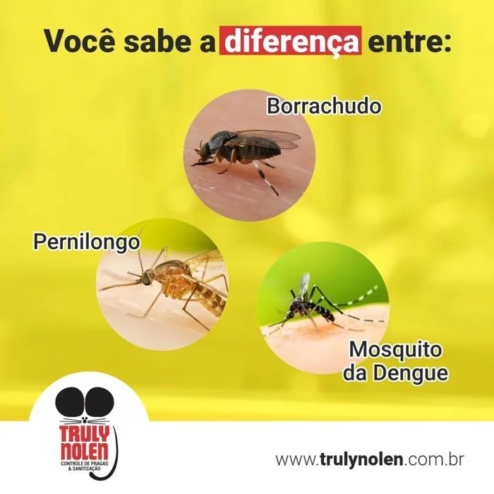 Foto de Truly Nolen Dedetizadora