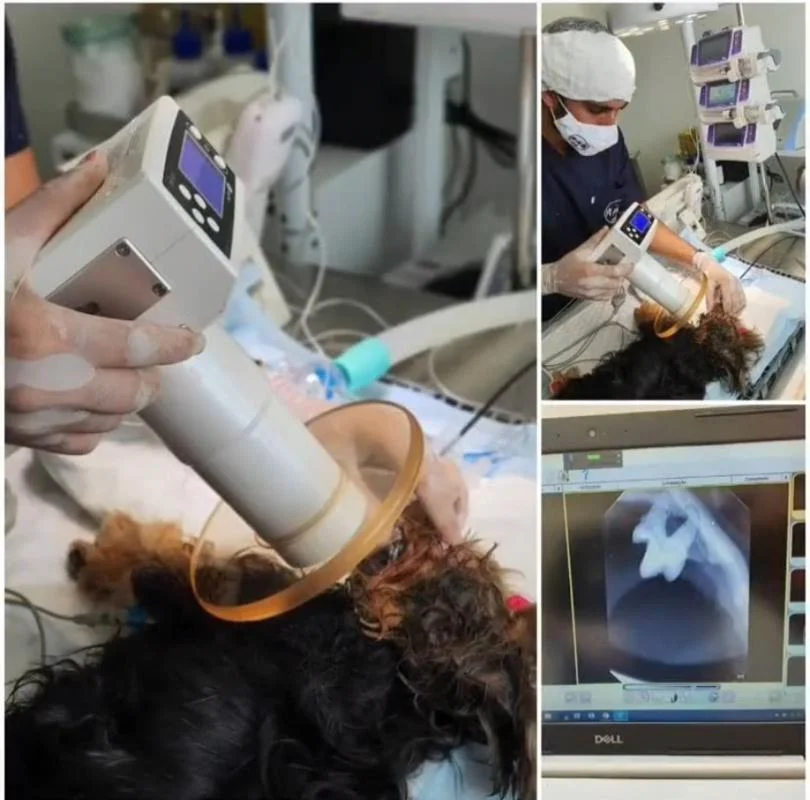 Foto de Rab Clínica Veterinária