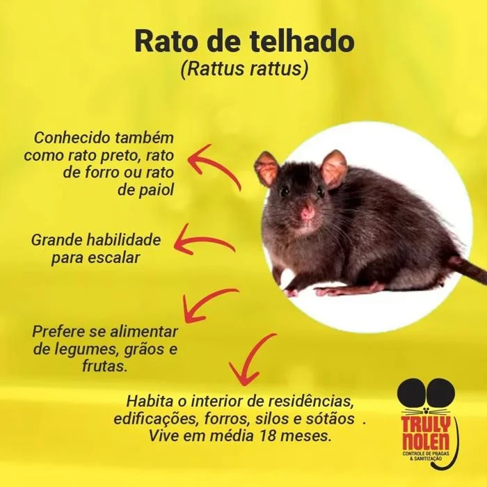 Foto de Truly Nolen Dedetizadora