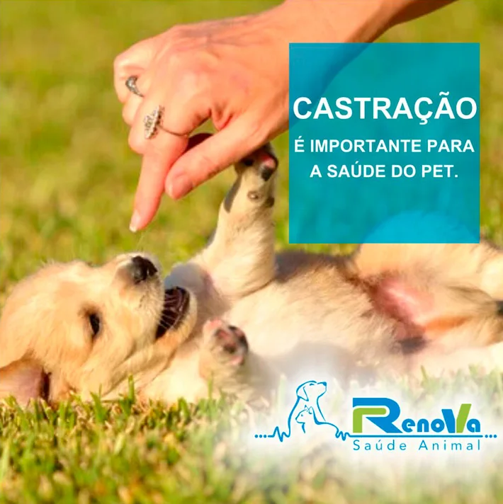 Foto de Renova Saúde Animal 24 Horas