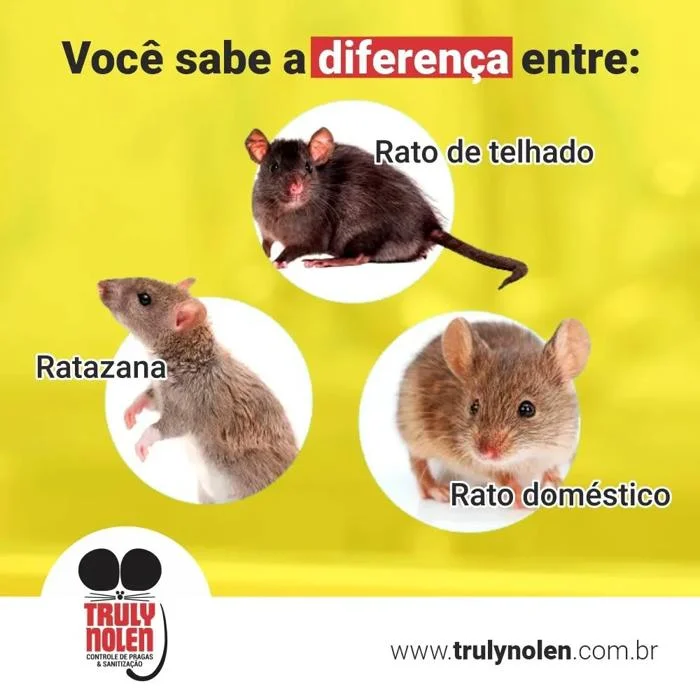 Foto de Truly Nolen Dedetizadora