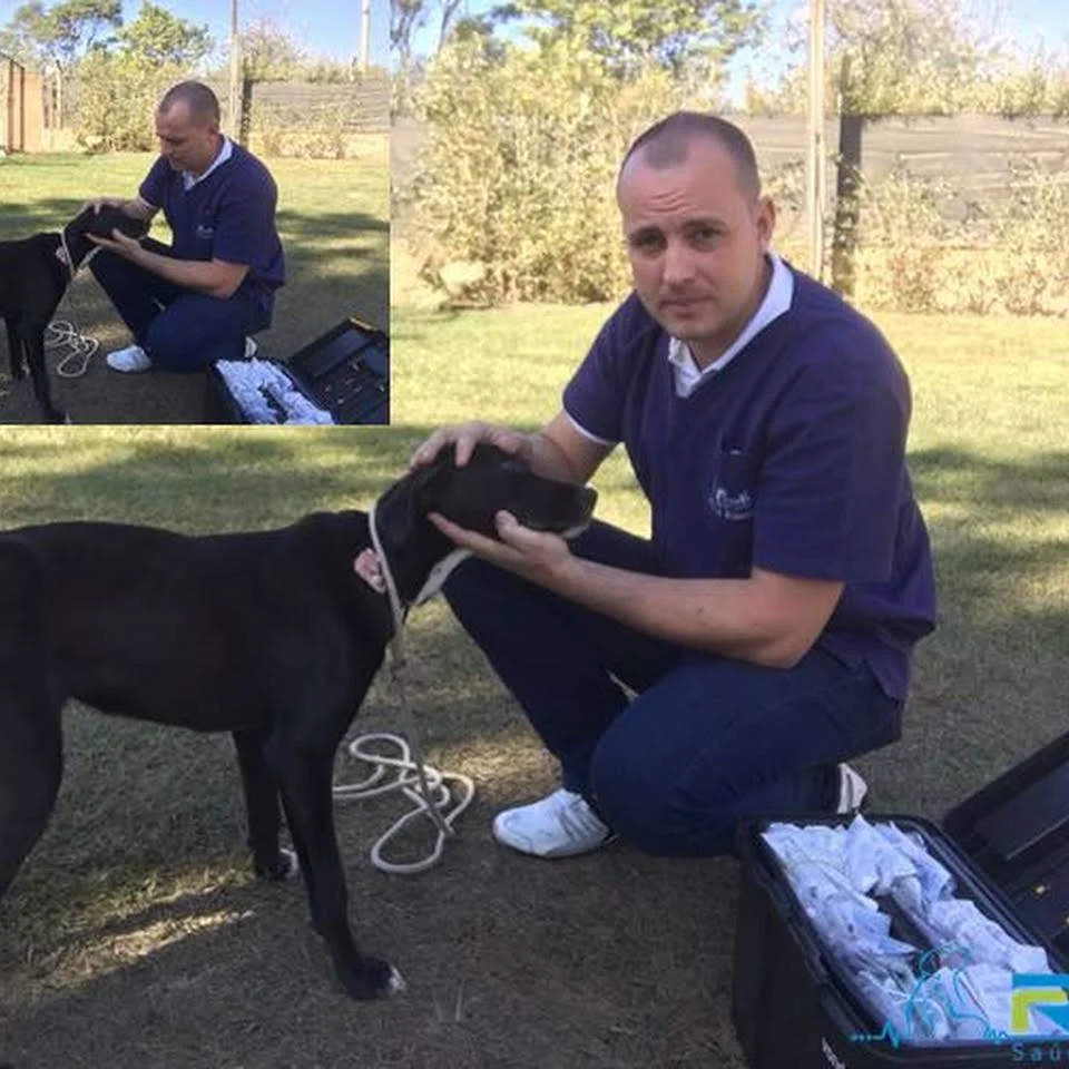 Foto de Renova Saúde Animal 24 Horas