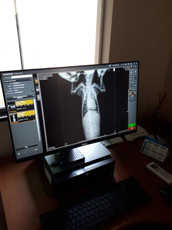 Foto de Pronto Socorro Veterinário São Francisco