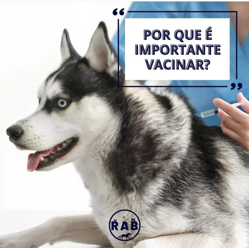 Foto de Rab Clínica Veterinária