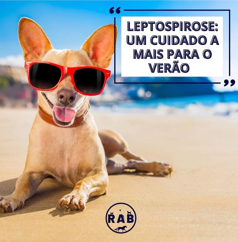 Foto de Rab Clínica Veterinária