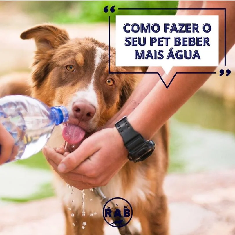 Foto de Rab Clínica Veterinária