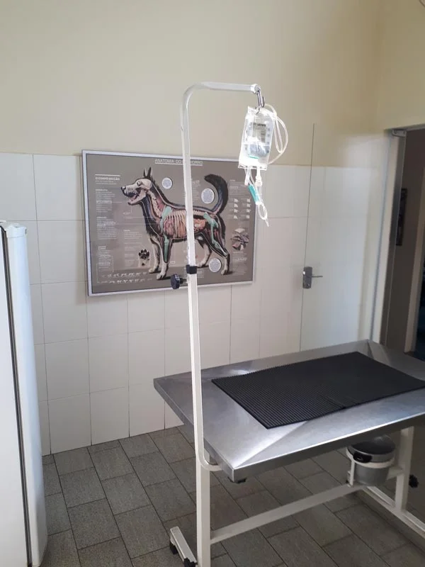 Foto de Pronto Socorro Veterinário São Francisco