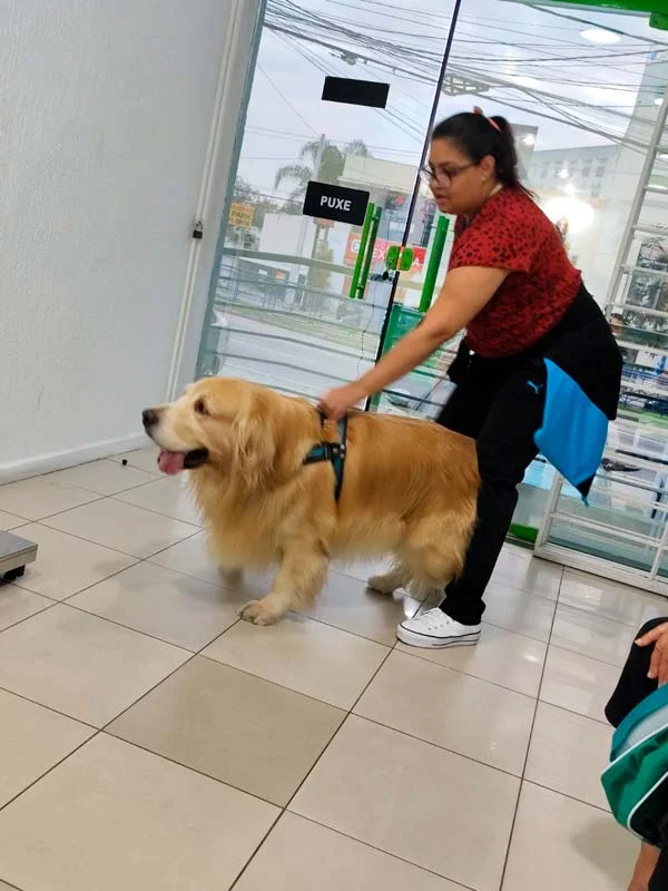 Foto de Hospital Veterinário Fucinhos e Patas