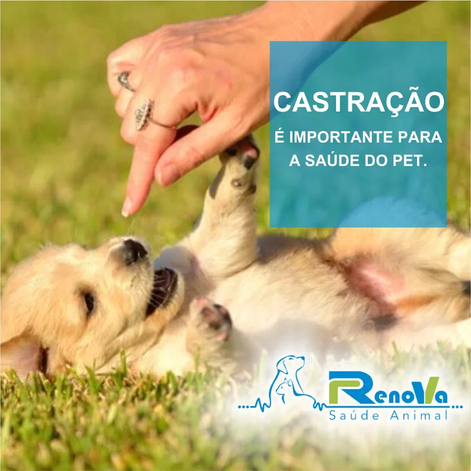 Foto de Renova Saúde Animal 24 Horas