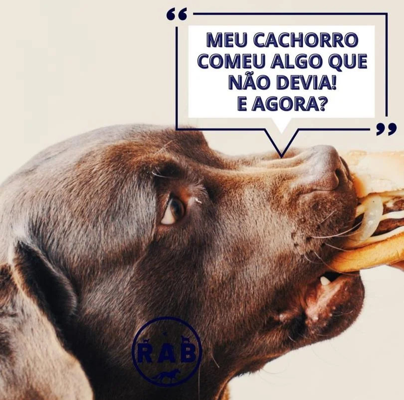 Foto de Rab Clínica Veterinária