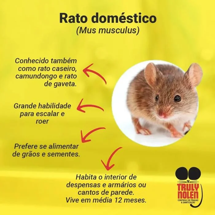 Foto de Truly Nolen Dedetizadora