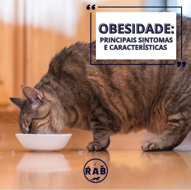 Foto de Rab Clínica Veterinária