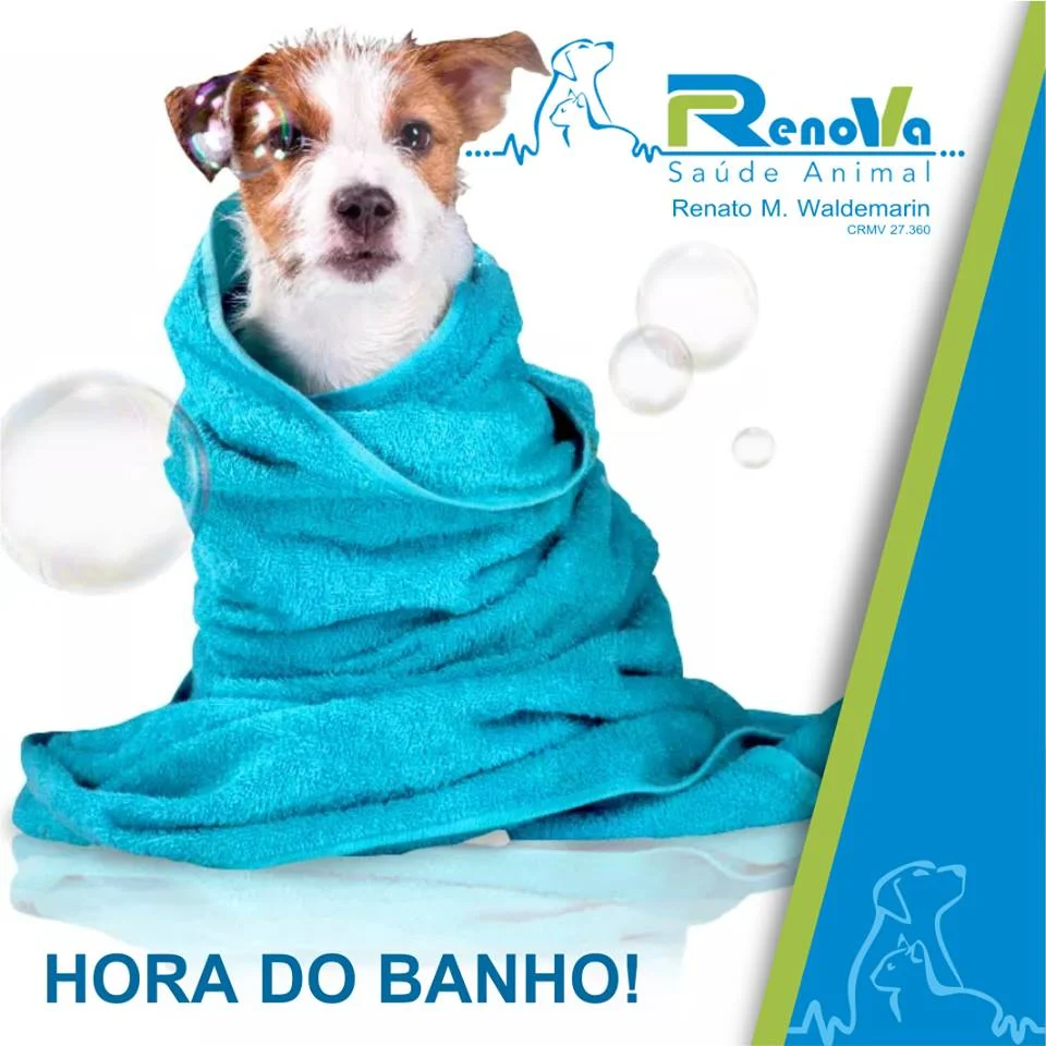 Foto de Renova Saúde Animal 24 Horas