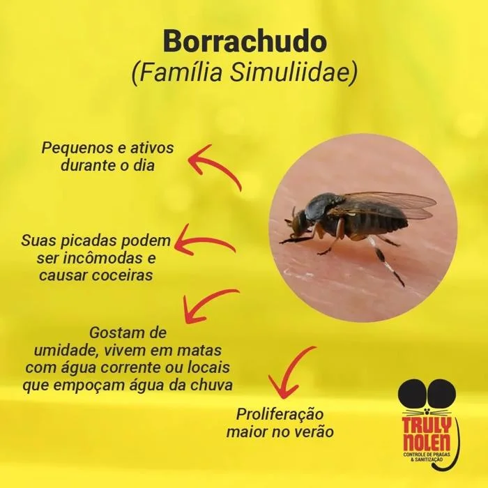 Foto de Truly Nolen Dedetizadora