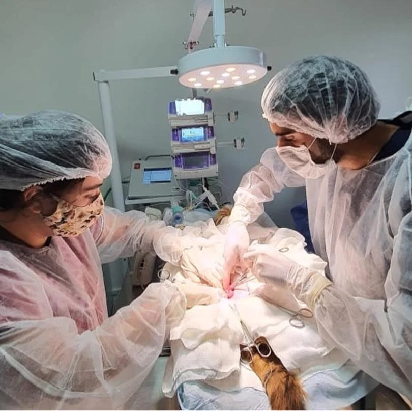 Foto de Rab Clínica Veterinária