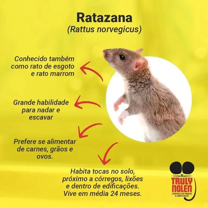 Foto de Truly Nolen Dedetizadora