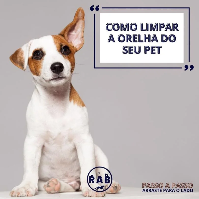Foto de Rab Clínica Veterinária